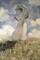 Woman with a Parasol Turned to the Left 1886 Poster Print by Claude Monet - Item # VARPDX278750